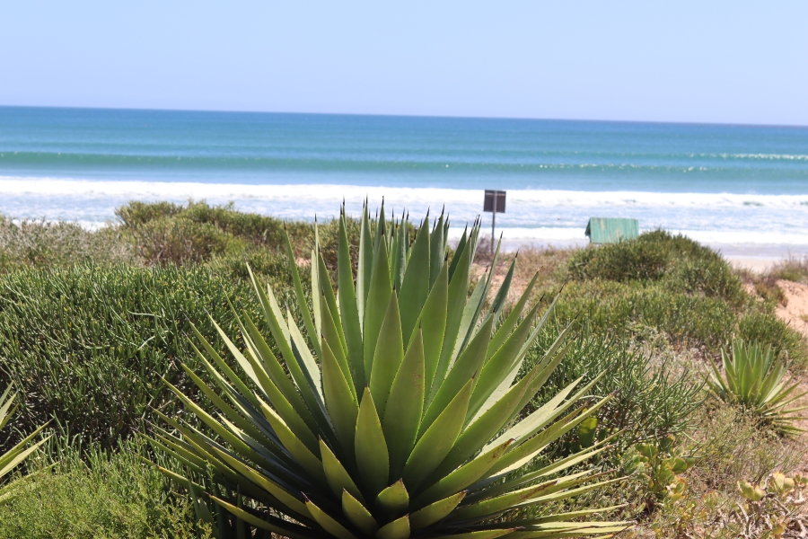 0 Bedroom Property for Sale in Golden Mile Western Cape